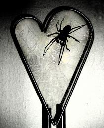 The Web Of Love